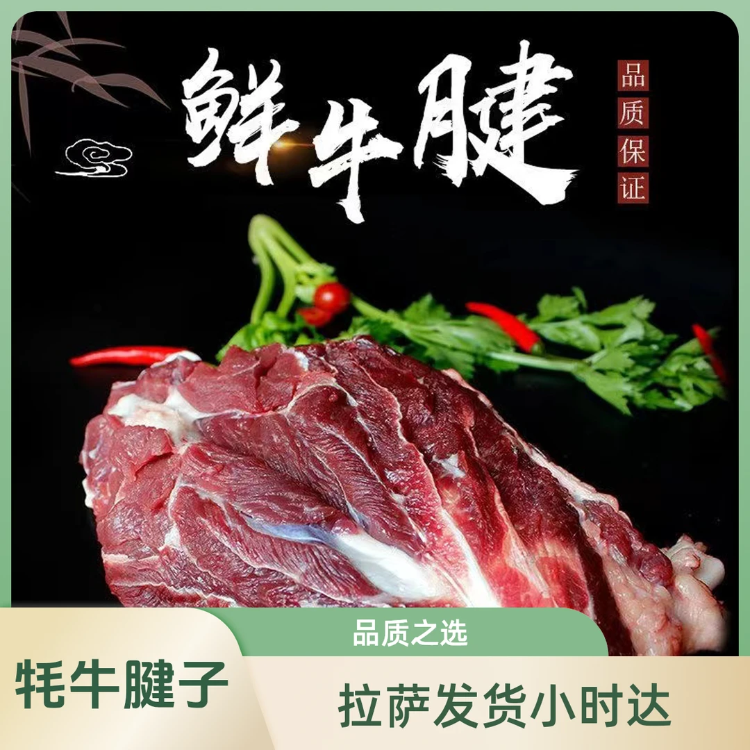 【牦牛腱子】拉萨同城小时达  500g