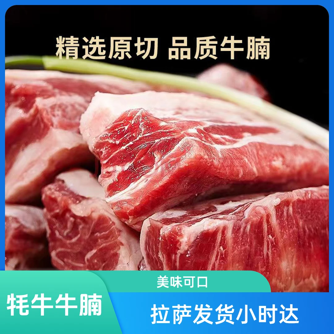 【牦牛牛腩】拉萨同城小时达 (牦牛肉,新鲜牛腩) 500g