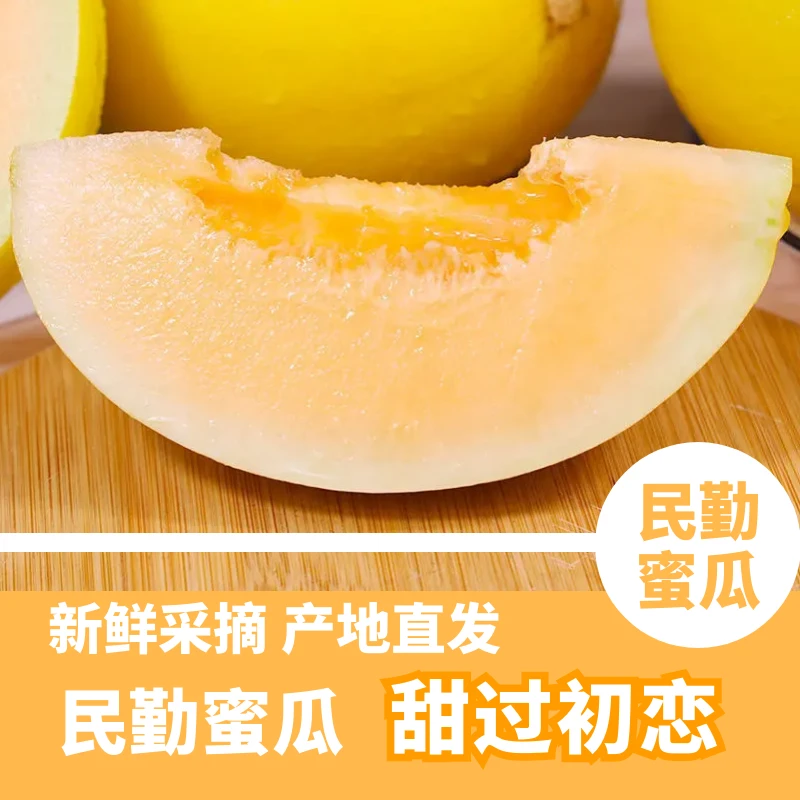 【甘肃民勤蜜瓜民勤蜜瓜冰激凌瓜甜瓜】金红宝哈密瓜新鲜清甜包赔