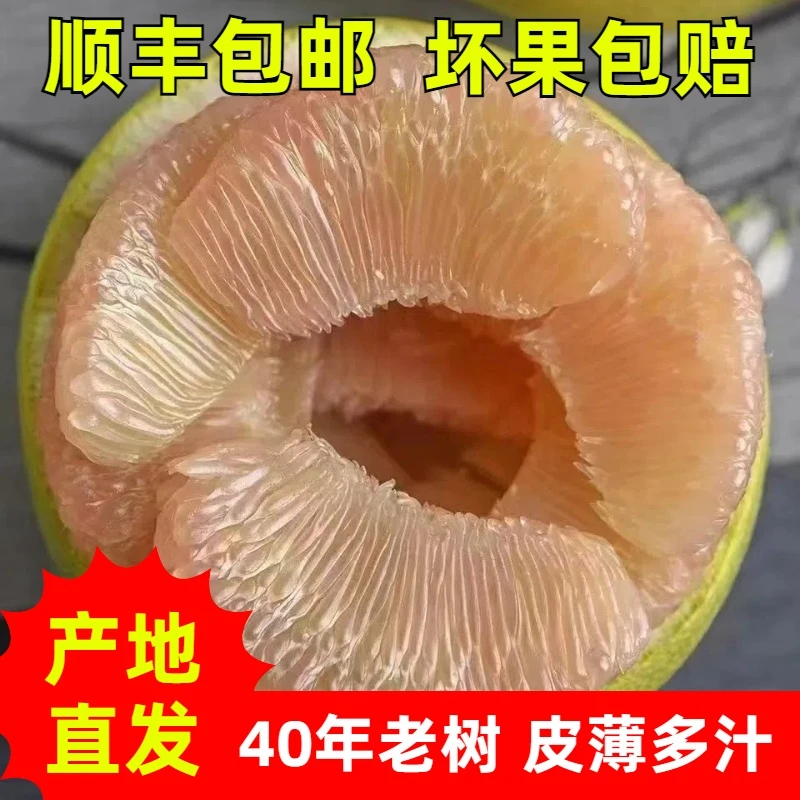 【仙溪】顺丰包邮度尾老树文旦柚网袋50斤家庭钜惠装