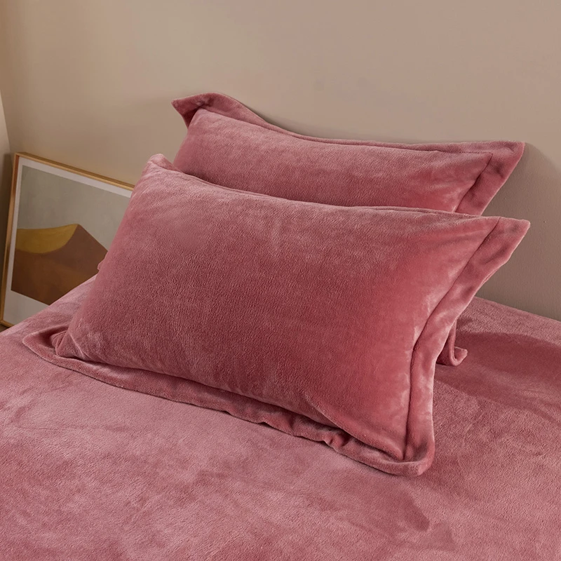 珊瑚绒枕套一对装冬季家用牛奶水晶绒枕套皮单双人加厚枕芯内胆套