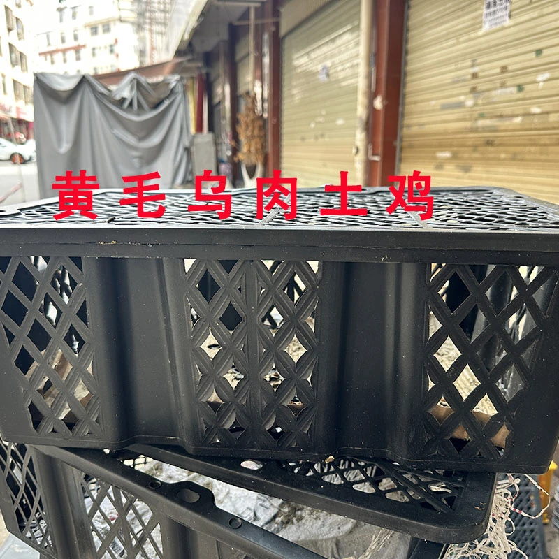 黄毛乌肉土鸡一筐5个