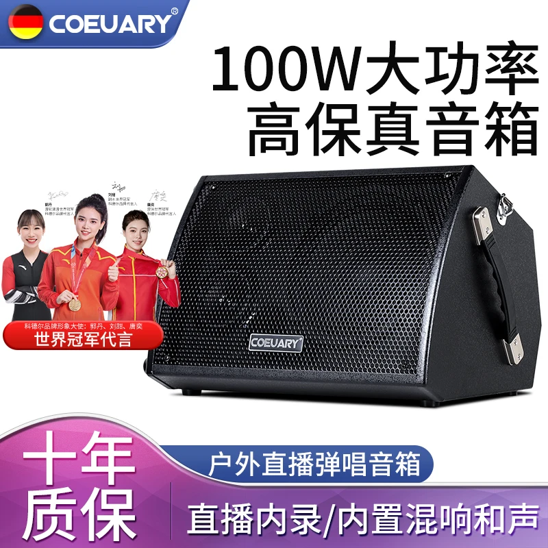 100W吉他乐器音响萨克斯电吹管乐器音响高保真户外演出直播内录