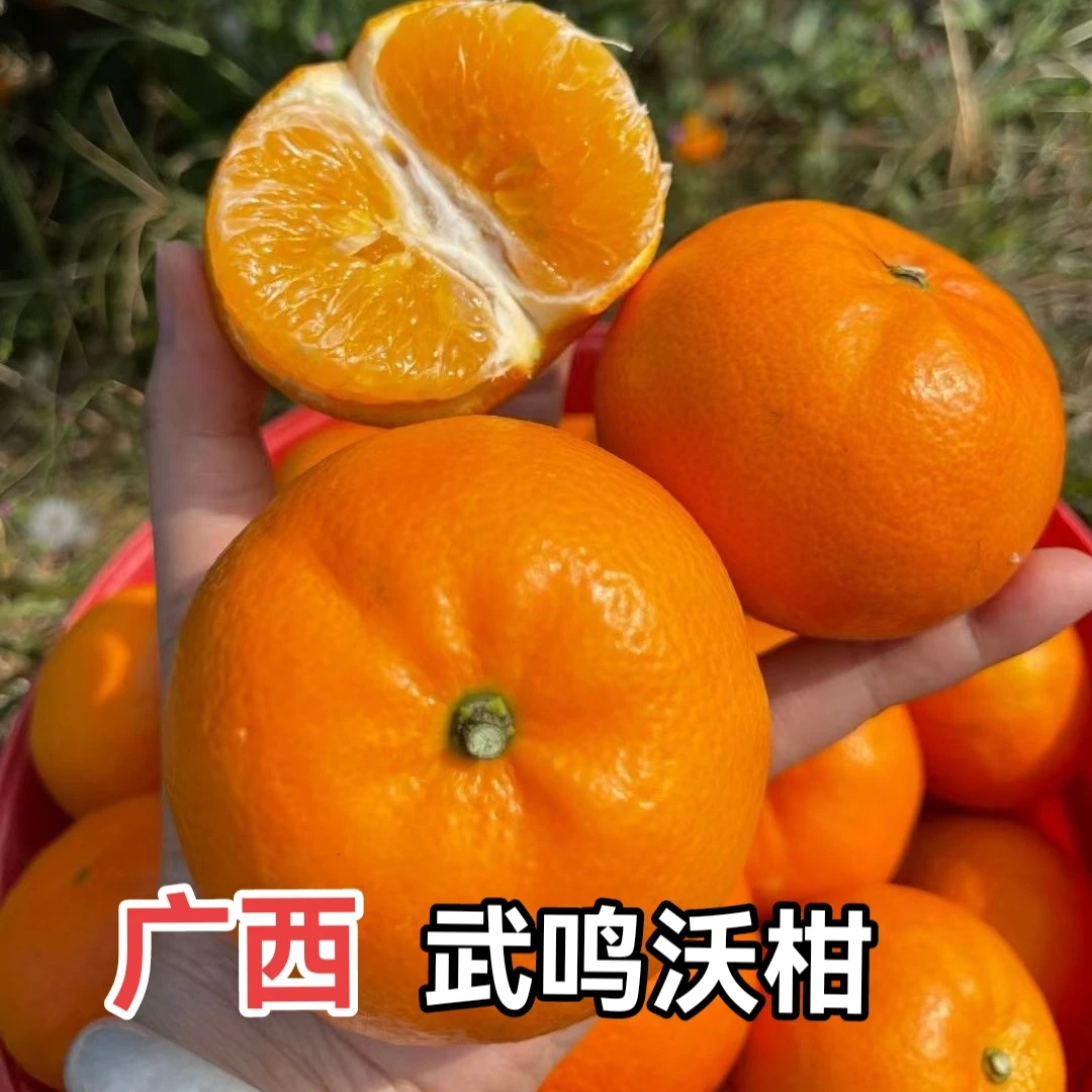 【精选沃柑】广西武鸣沃柑3-9斤香甜多汁，入口化渣皮薄肉厚新鲜现摘