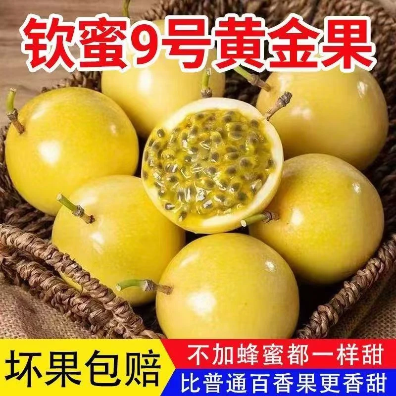 【10个装】钦蜜9号黄金百香果 酸甜多汁香味浓郁新鲜水果