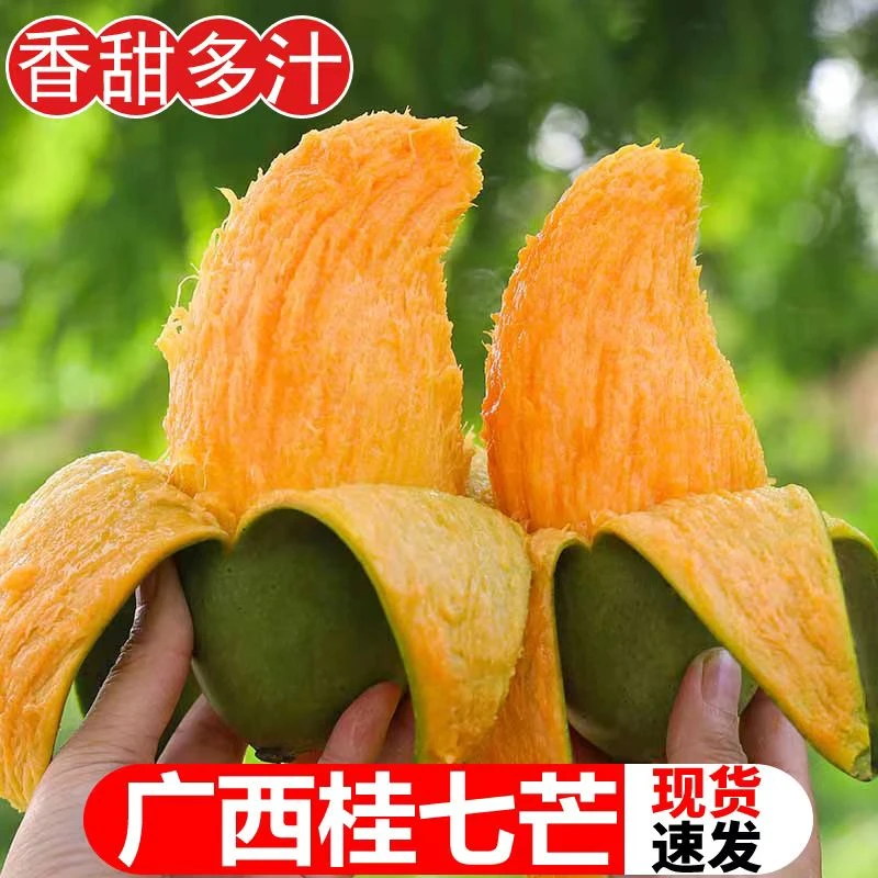【精选桂七】广西百色桂七香芒 新鲜芒果5-9斤 香甜多汁肉厚水果