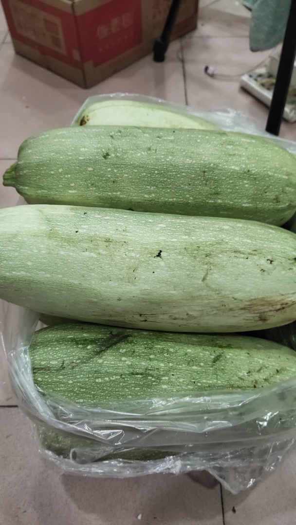 东北大西葫芦4斤半到5斤半之间