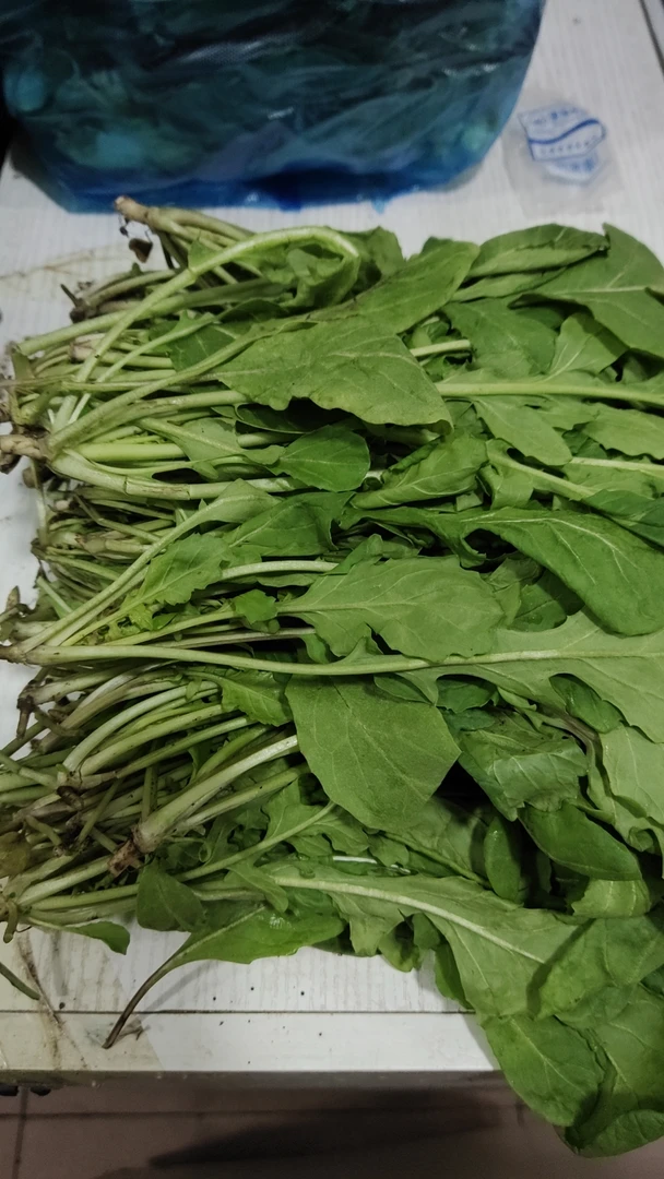 农家新鲜臭菜1斤、2斤