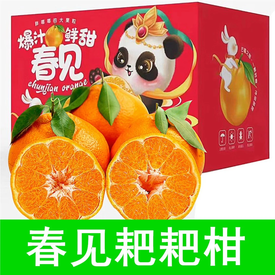 春见耙耙柑3斤/5斤正宗四川新鲜水果多汁品质甘甜皮薄【产地直发】