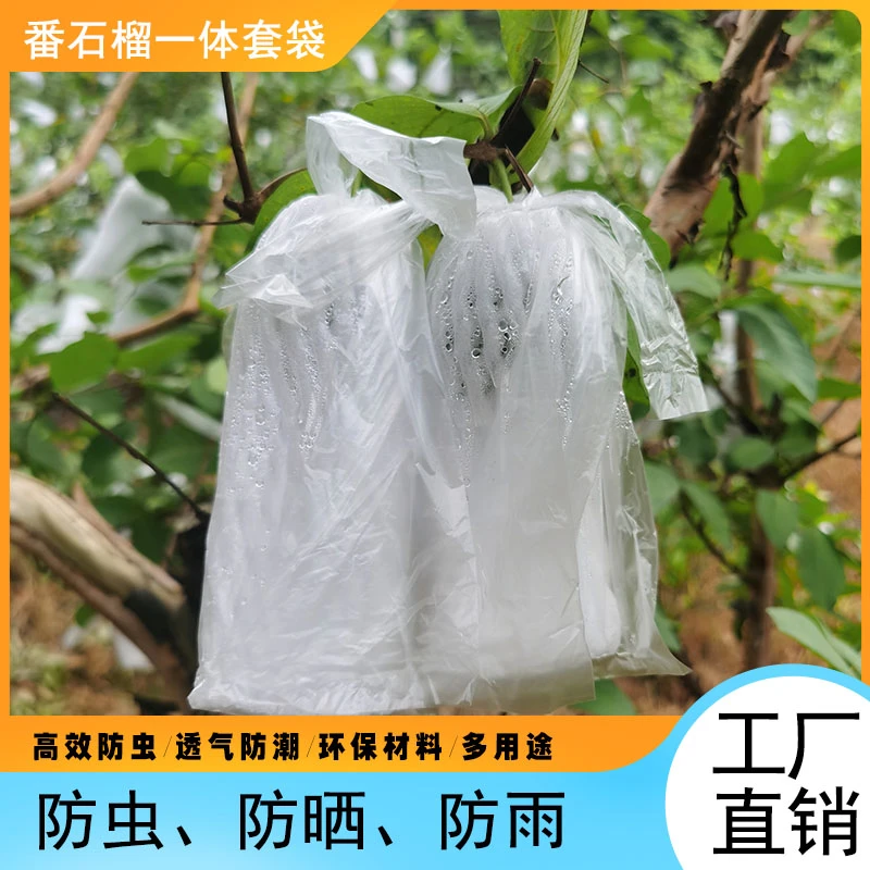 番石榴专用网袋 芭乐防虫袋 果树保护套袋 芭乐番石榴防虫一体袋