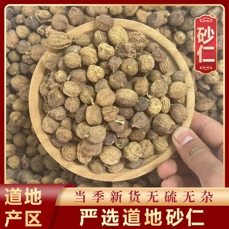 山鼎药业【砂仁】正宗精选货 砂仁 干果 煲汤泡水 无硫