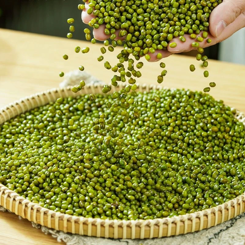 农户自种优质绿豆绿豆粥易出沙绿豆茶