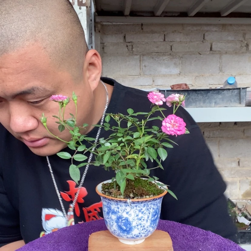 【闪购商品】红陶171cm(含)-200cm(含)137