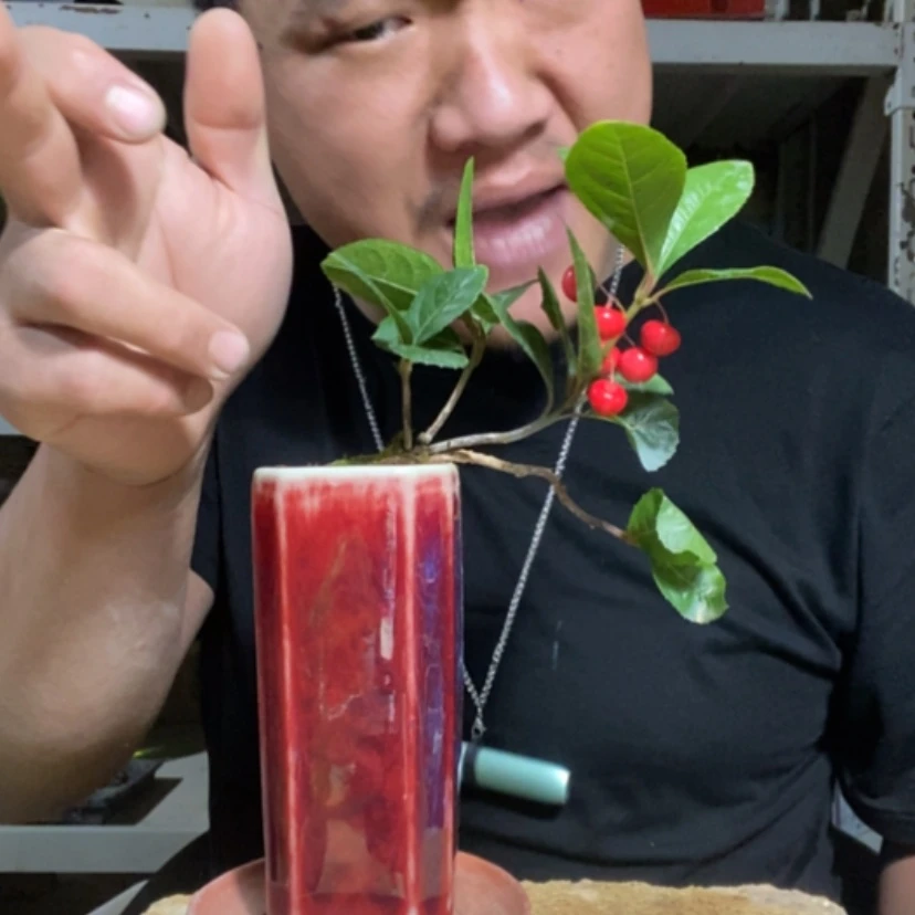 【闪购商品】红陶171cm(含)-200cm(含)108