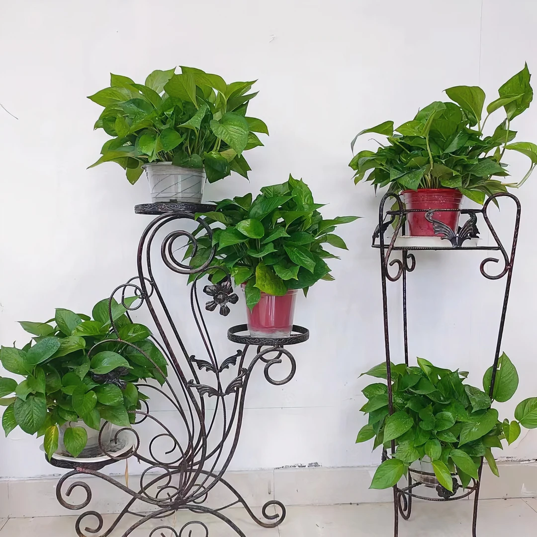 绿植绿萝绿萝盆栽室内吸甲醛净化空气长藤植物花卉大叶绿萝除甲醛