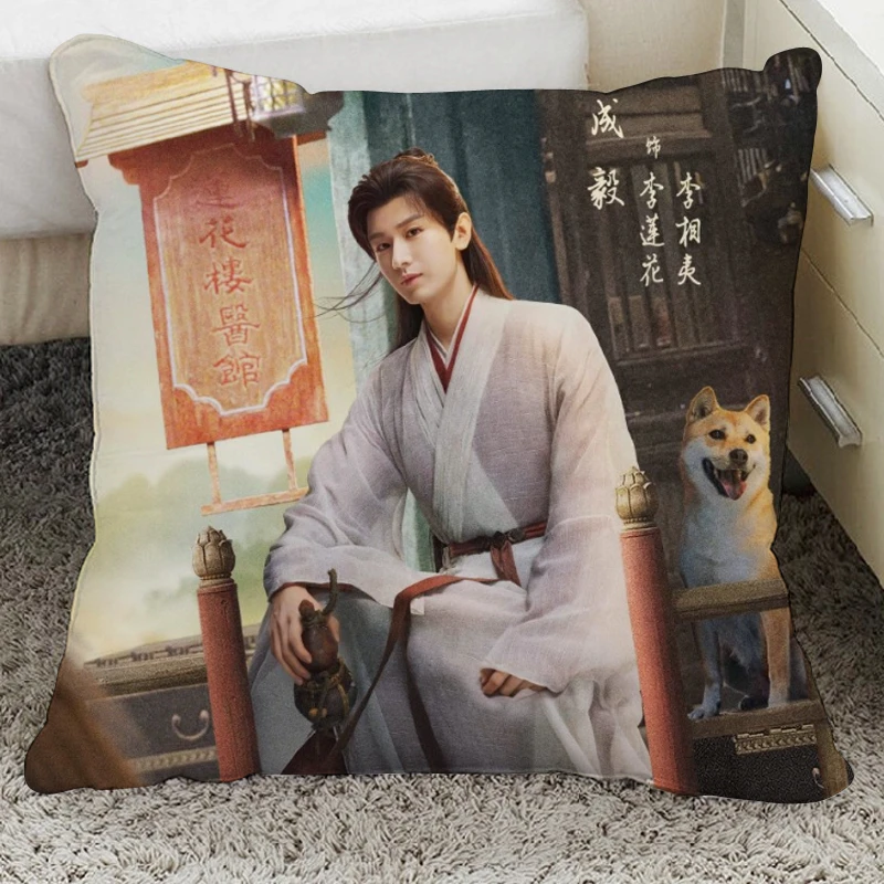 莲花楼周边成毅李莲花曾舜晞双面抱枕带枕芯靠枕靠垫枕头礼物定制
