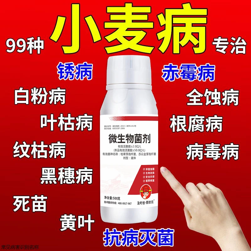 小麦杀菌剂小麦专用药锈病白粉病赤霉病全蚀病根腐病黑穗病杀菌剂
