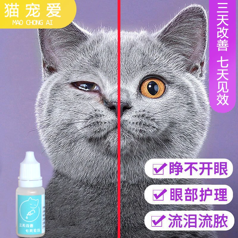宠物眼睛结膜炎眼部护理流泪泪痕液打喷嚏流鼻涕猫咪狗狗滴眼液