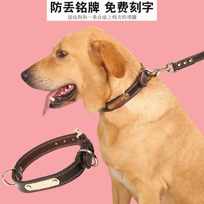宠物狗项圈通用舒适结实定制刻字防丢名牌狗狗脖圈皮项圈可栓牵引