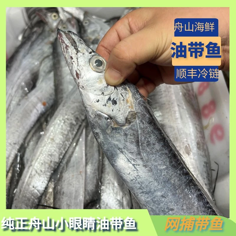 【大带】舟山新鲜东海野生油带鱼 鹰嘴小眼睛带鱼 可蒸可煮