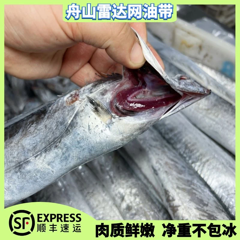 【顶带】正宗舟山雷达网小眼油带鱼 网捕带鱼 油香四溢 可蒸可煮