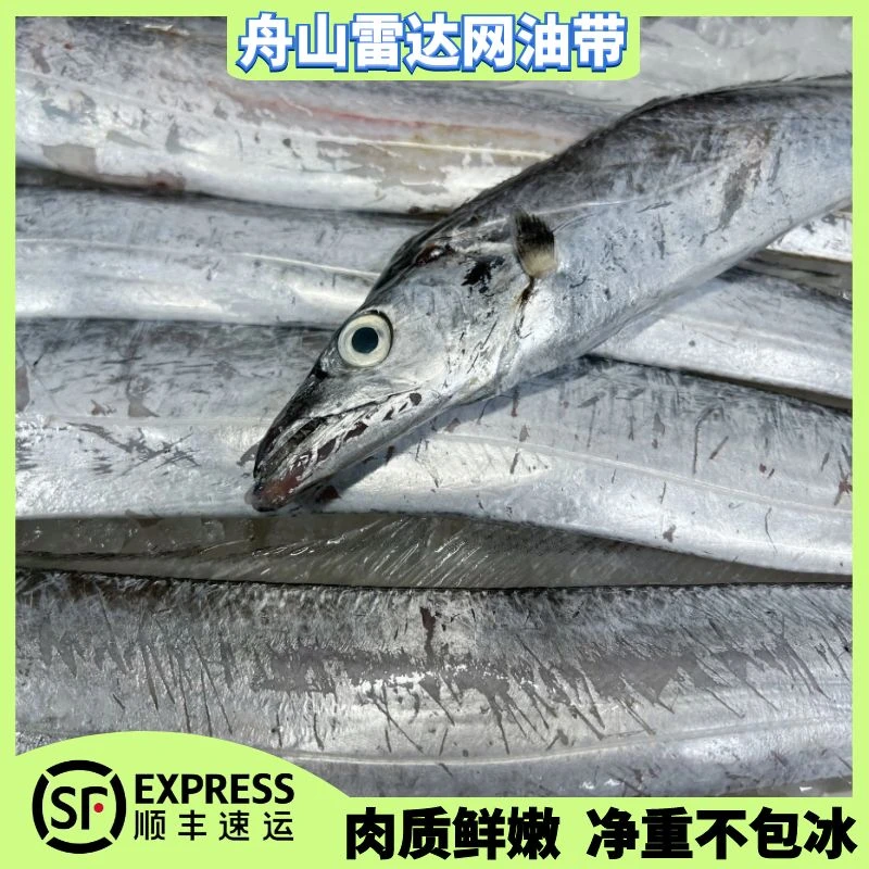 【雷达网顶油带】正宗舟山小眼鲜带鱼 纯正东海网捕带鱼 可蒸可煮