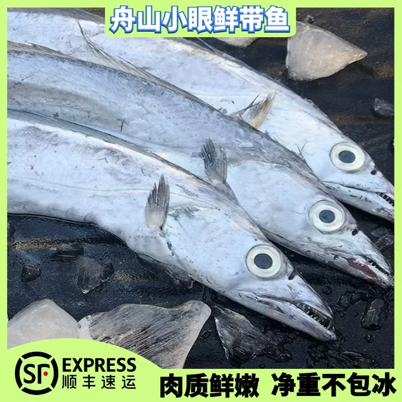 【大带】正宗舟山小眼鲜带鱼 纯正东海野生带鱼 肉质细嫩 QL