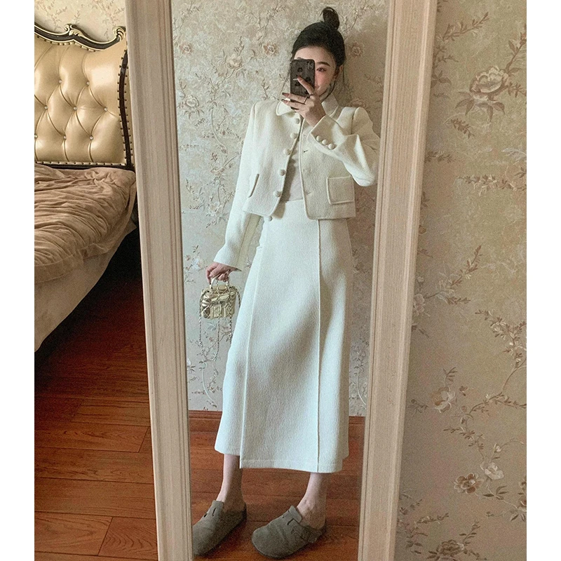 2024秋季新款高级感短款百搭翻领外套名媛气质高腰显瘦开叉半身裙