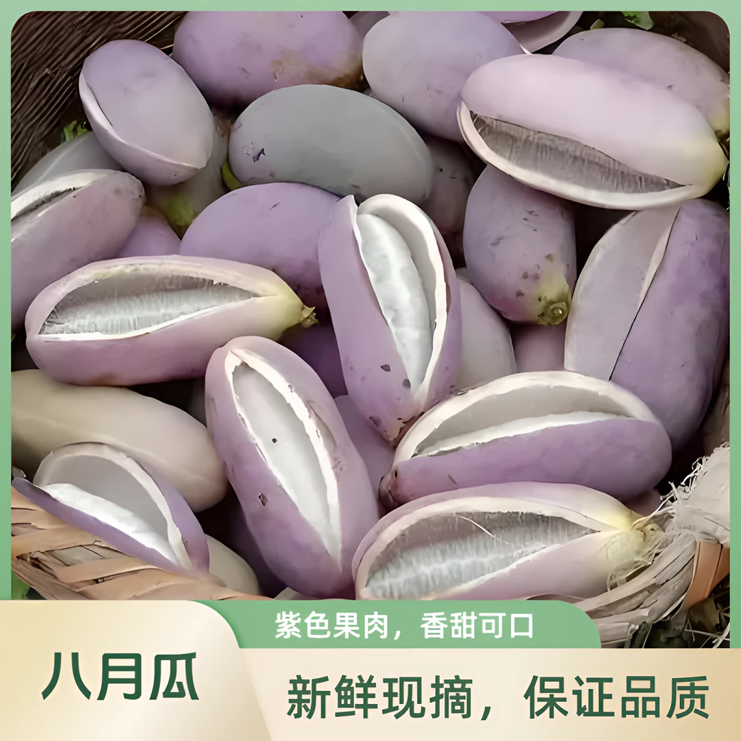 贵州娟娟农产品田果园园采摘水果自产自销八月瓜 新鲜水果
