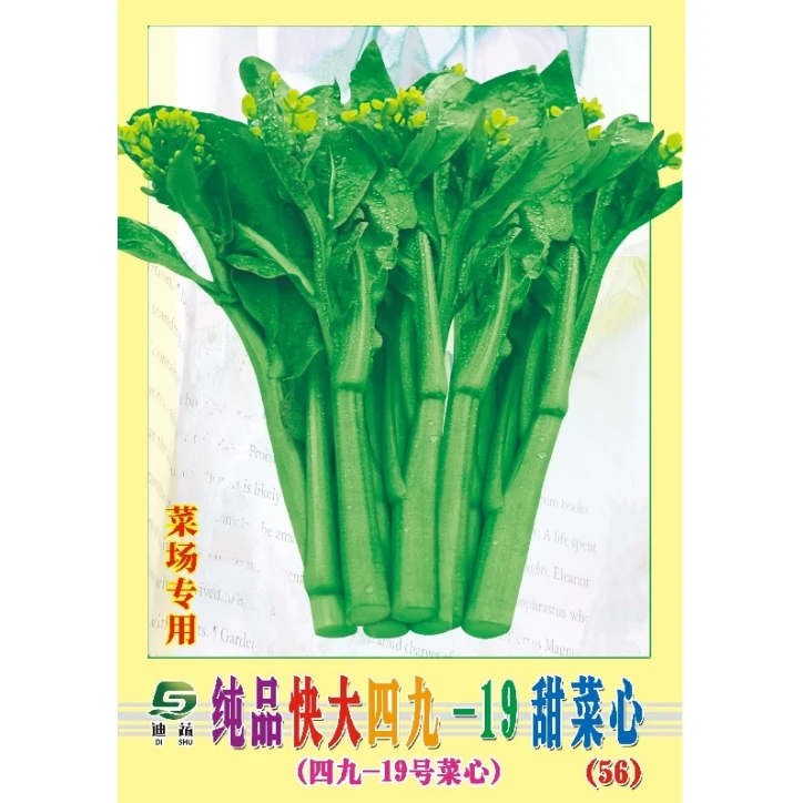 四九菜心种子056*纯品快大四九-19甜菜心(四九-19号菜心)种籽