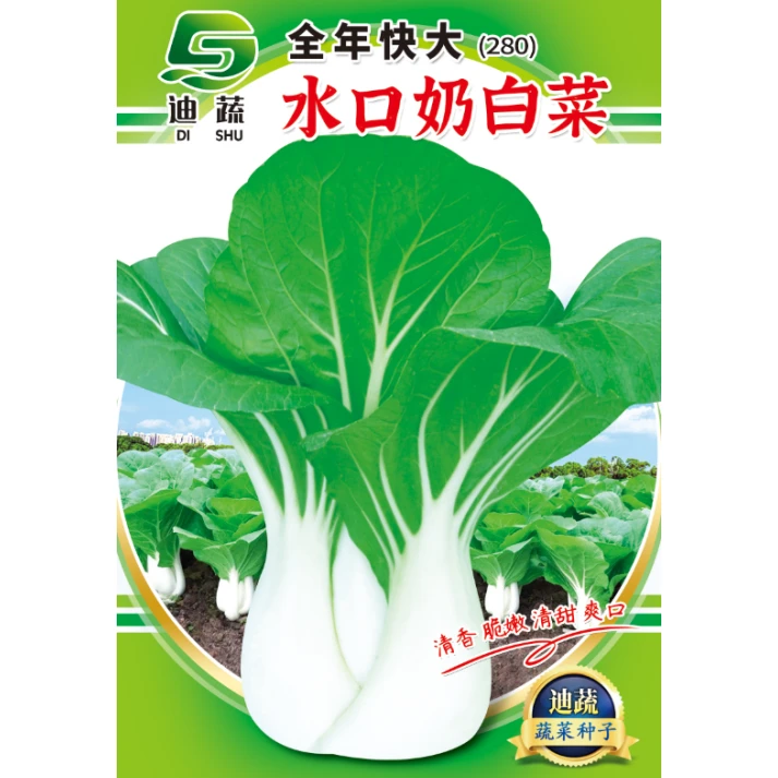 迪蔬小白菜种子280*全年快大水口奶白菜种籽