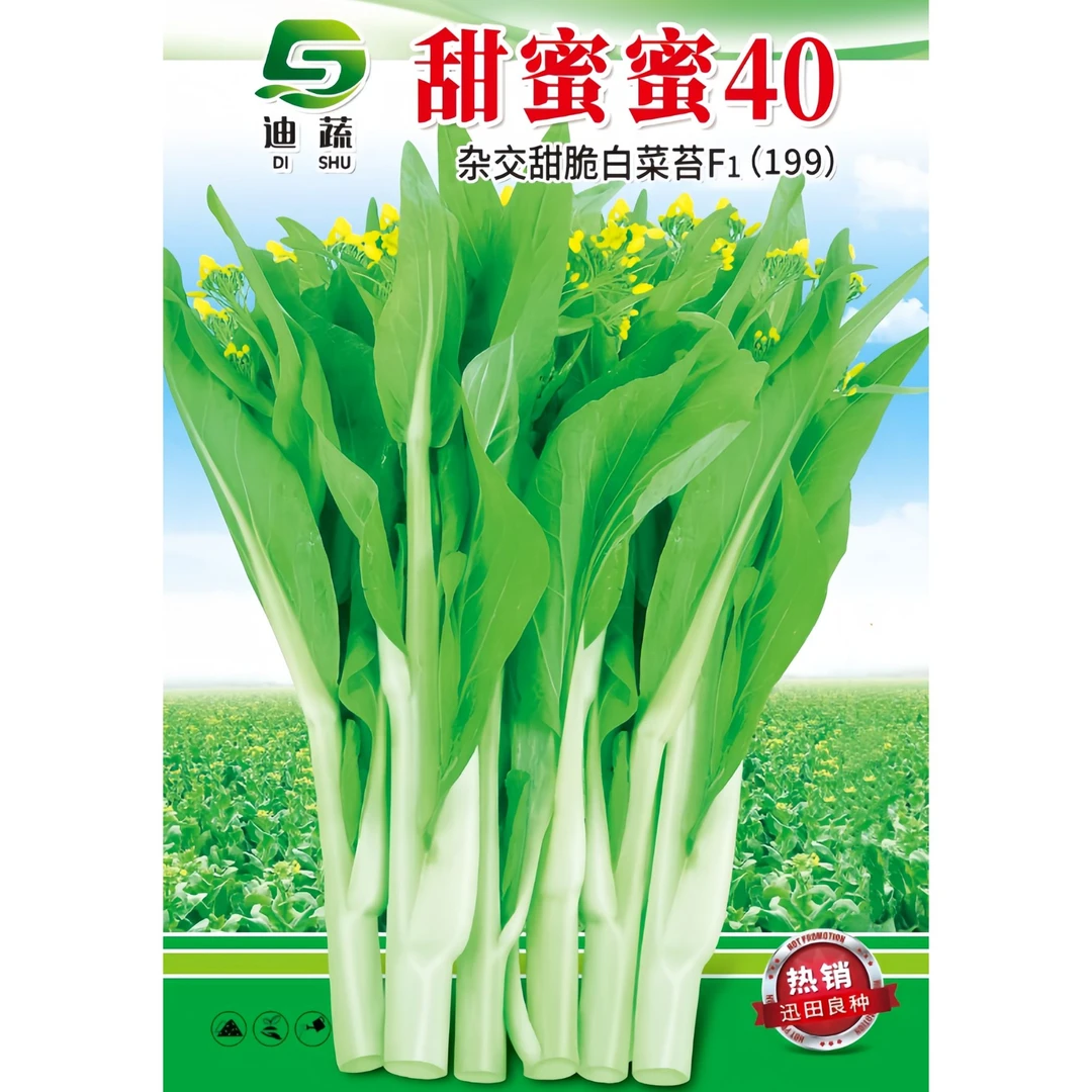 迪蔬白菜苔种子199*甜蜜蜜40杂交甜脆白菜苔种籽