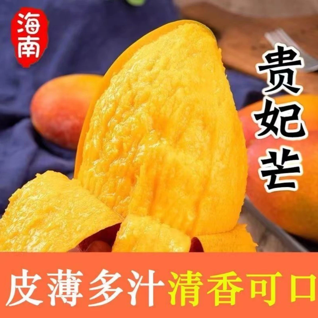 海南贵妃芒小芒果 新鲜采摘 当季水果 产地直发