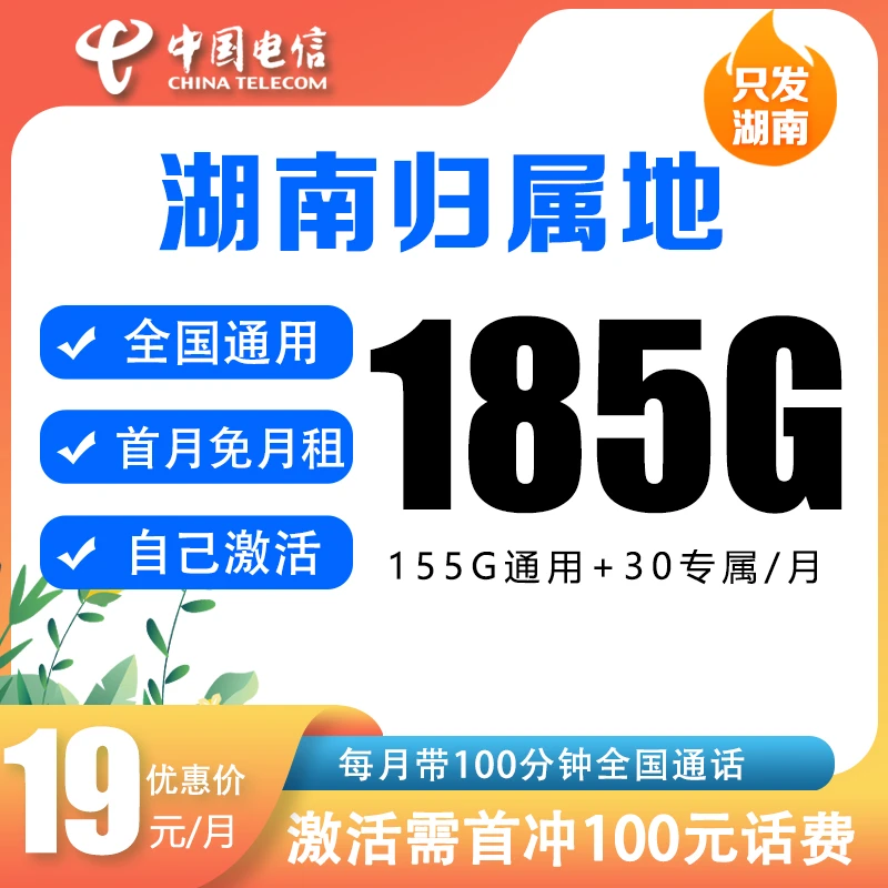 湖南电信星卡19元月租185G全国流量100分钟高速不限速通用电话卡