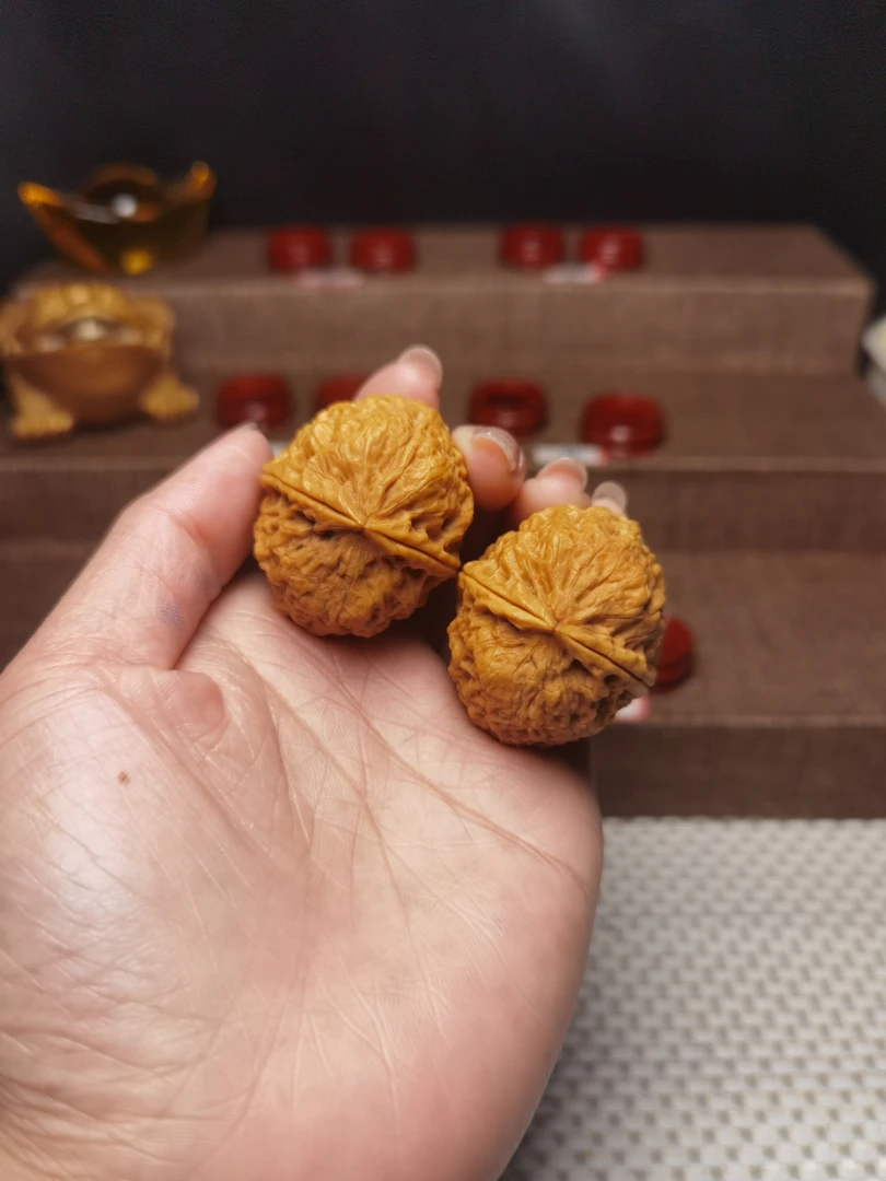 云鼎绣球，云南野生铁核桃