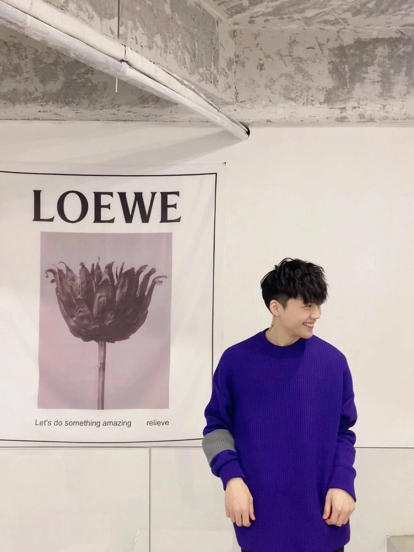 路易威登/Louis Vuitton 紫色地球人卫衣02001/L码/99新