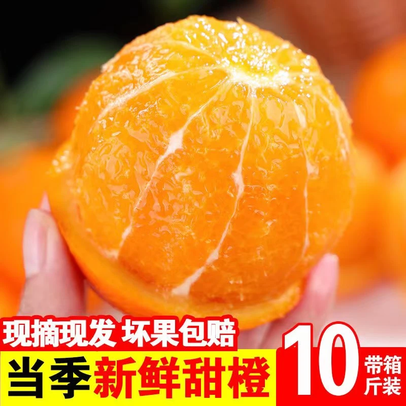 （福利）脐橙新鲜采摘脆嫩化渣孕妇水果非奉节赣南脐橙3斤5斤9斤