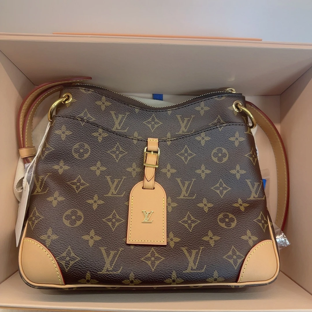 95新 LouisVuitton/路易威登 LV/大牛角斜跨包/芯片款