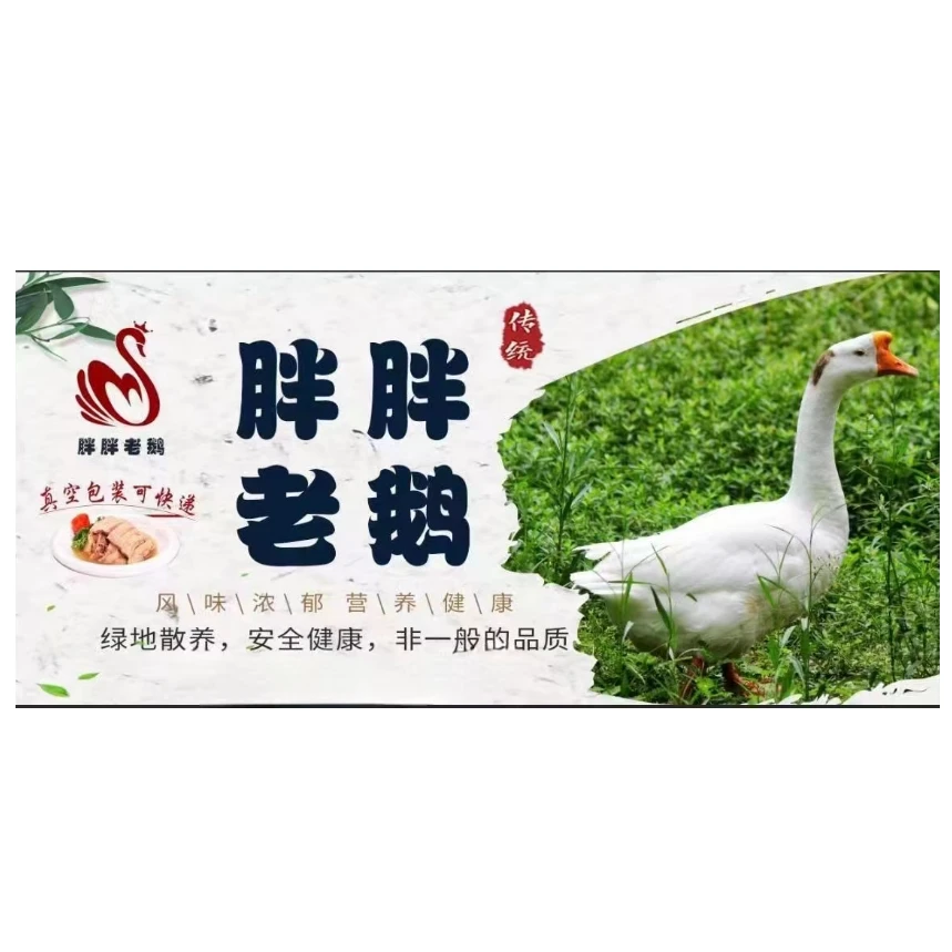 正宗淮扬胖胖老鹅18252