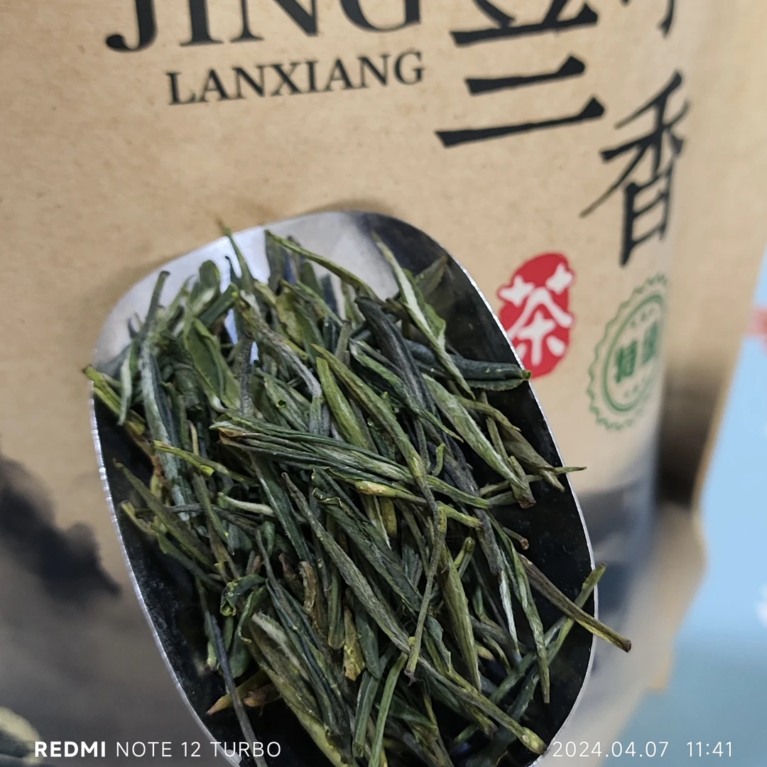 2025新春鲜爽高原云雾梵净山兰香青绿茶嫩芽栗香回甘散装茶汤生态