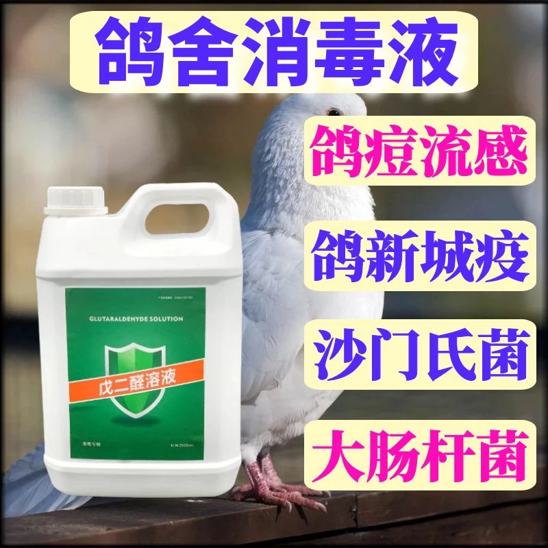 养鸽舍专用消毒液戊二醛消毒水养殖场使用消毒剂鸽笼消毒高效杀菌