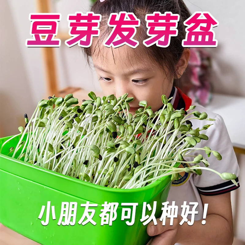 豆芽发芽盒家用生豆芽机绿色无公害黄豆绿豆蔬菜神器