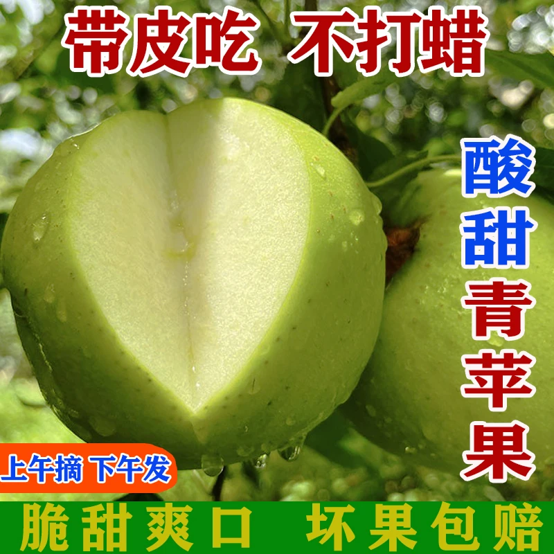 四川高山青苹果鲜脆水果新鲜当季整箱孕妇丑苹果2/5/9斤现摘脆甜