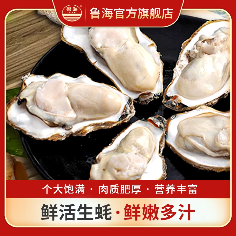 LUHAI/鲁海鹅蛋生蚝（5斤/份）鲜活海鲜水产保鲜不保活 山东发货
