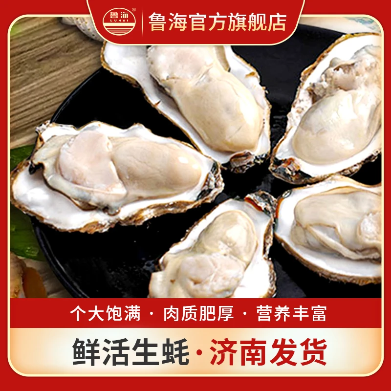 LUHAI/鲁海生蚝（8斤/份）鲜活海鲜水产 山东发货