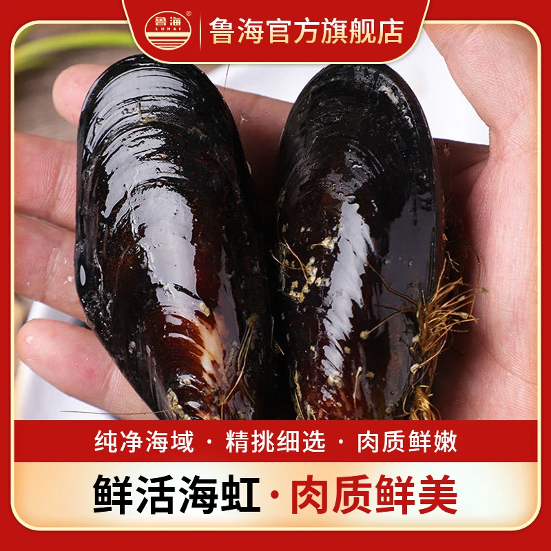 LUHAI/鲁海鲜活海虹 （5斤/份）海鲜水产 肉质保鲜不保活新鲜