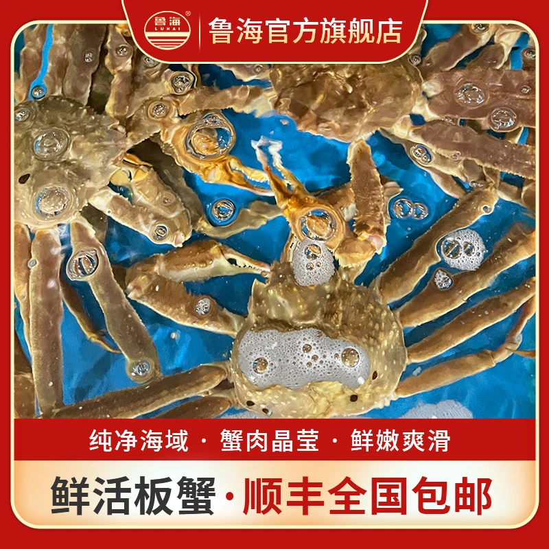 板蟹/长腿蟹  1.7斤/只  顺丰同城闪送