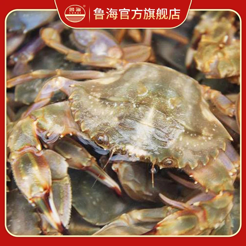 【保鲜不保活】 花蟹 3斤/份 ，单只1-2两 仅限济南市区购买