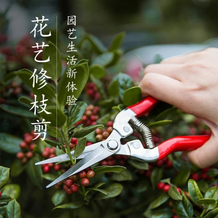 智创园艺剪修枝剪枝园林盆景修花剪子果蔬剪叶芽树剪剪剪刀家用