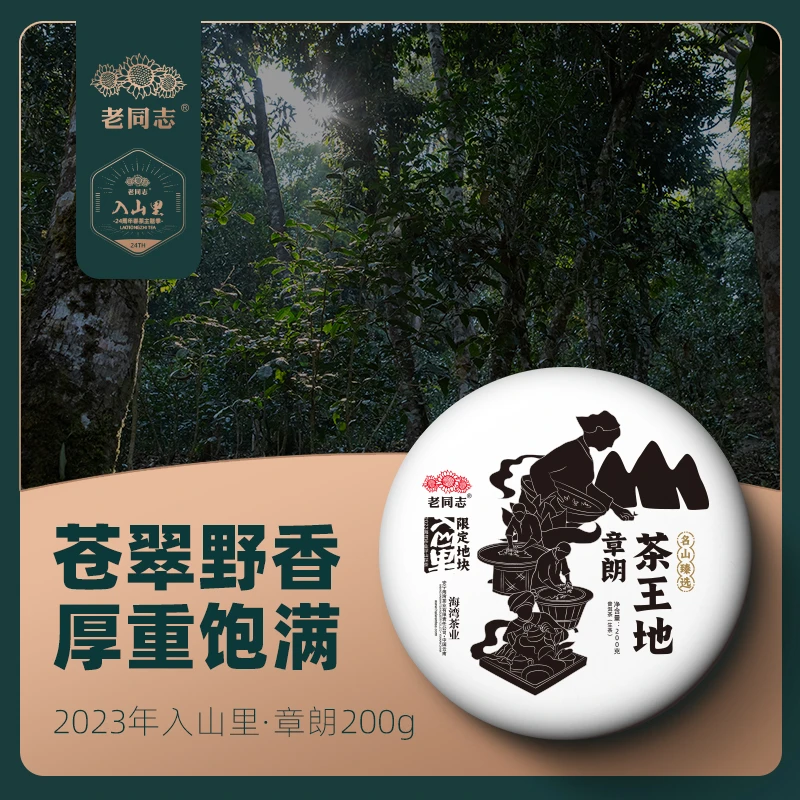 老同志清爽普洱茶2023年章朗茶王地入山里限定地块生茶200克/饼